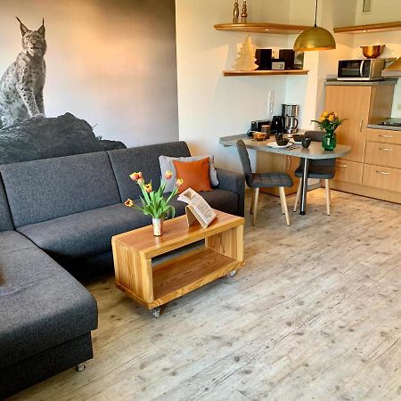 Luchsbutze Apartamento Sankt Andreasberg Exterior foto