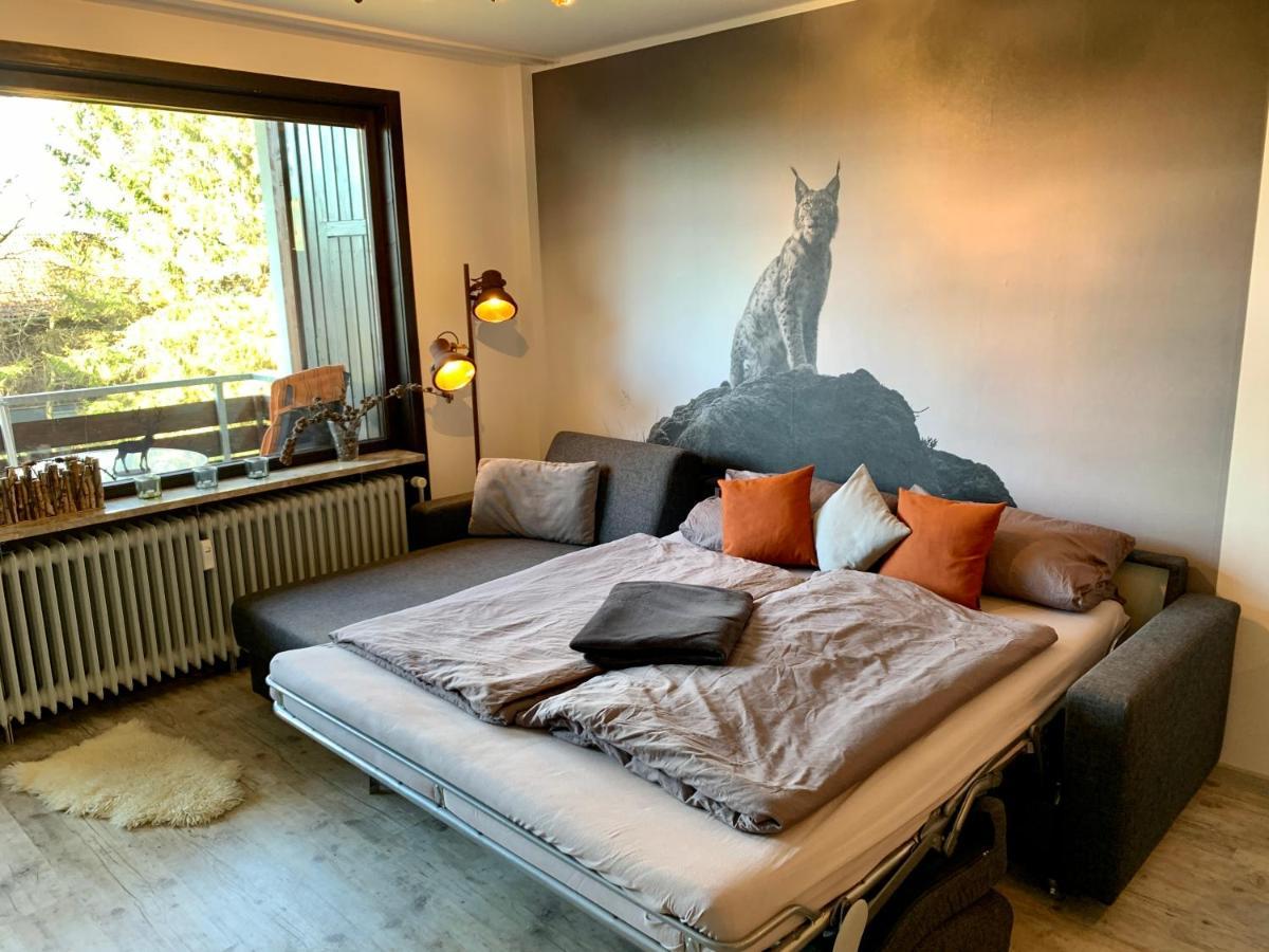 Luchsbutze Apartamento Sankt Andreasberg Exterior foto