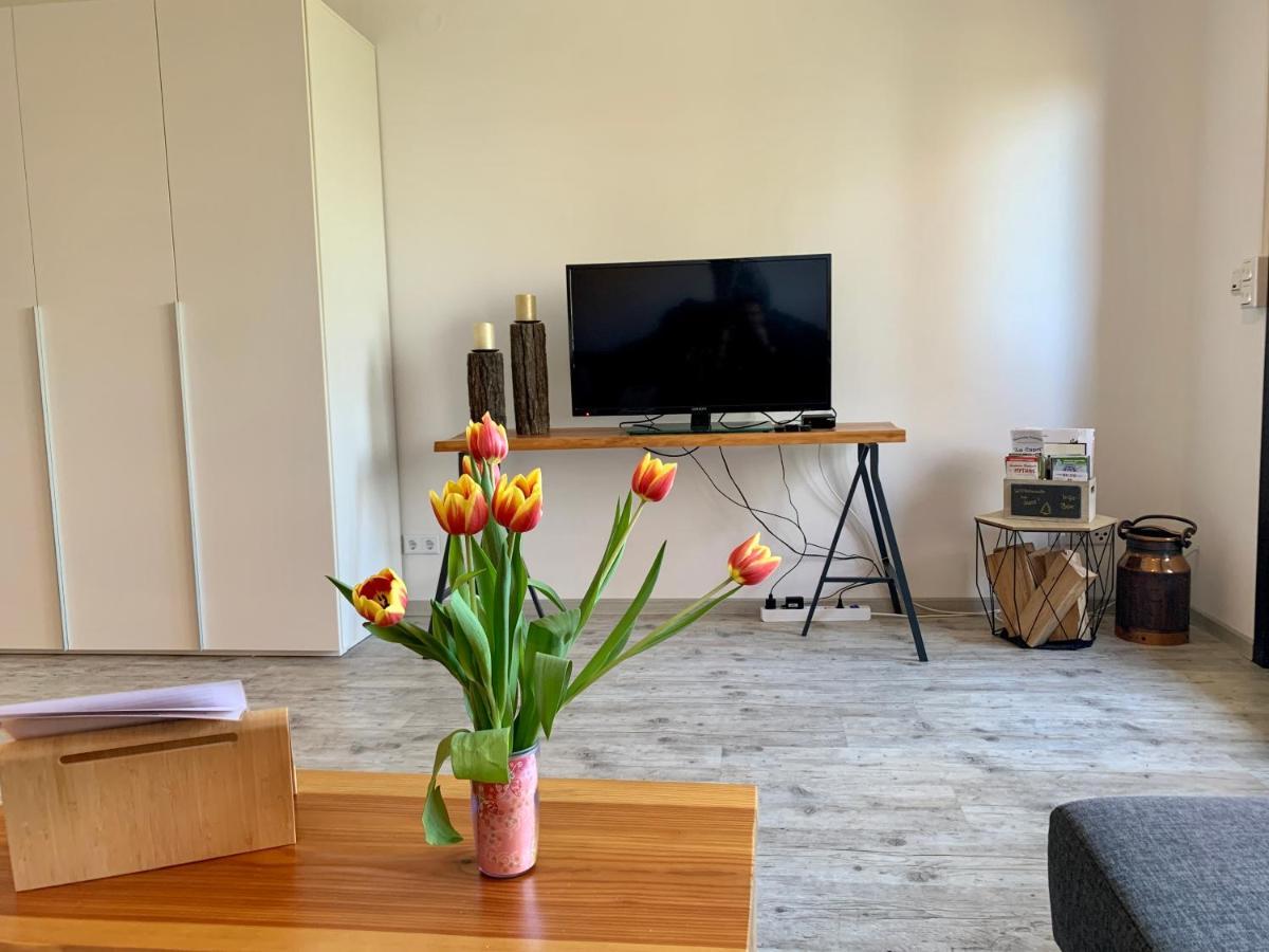 Luchsbutze Apartamento Sankt Andreasberg Exterior foto