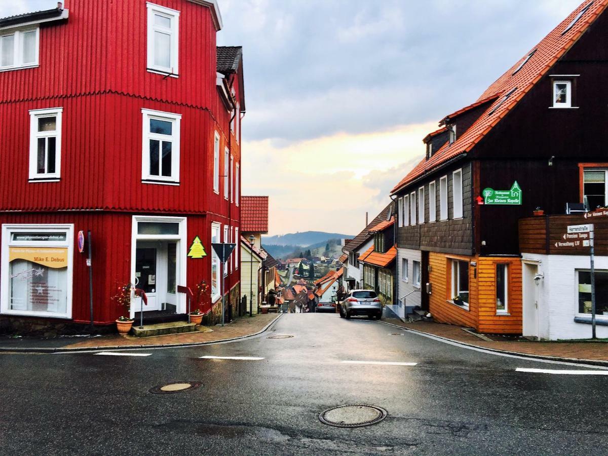Luchsbutze Apartamento Sankt Andreasberg Exterior foto